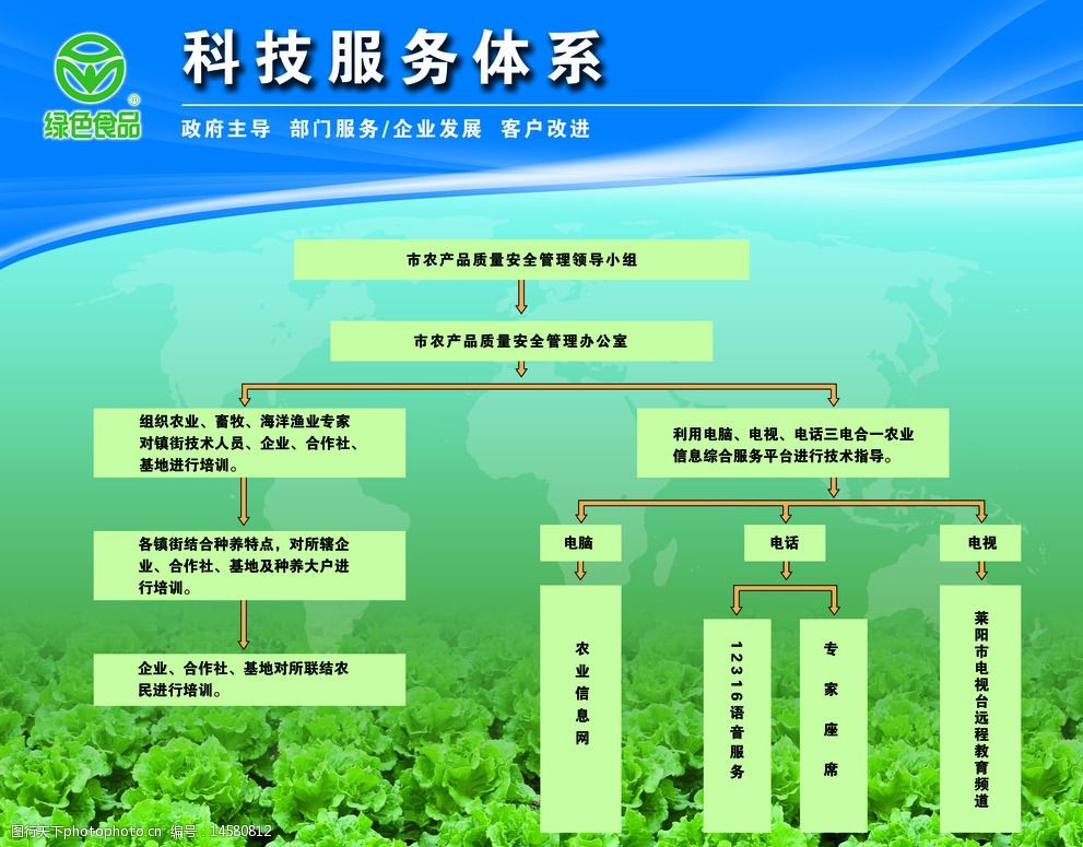 科技服務(wù)體系下的軟件開發(fā) 架構(gòu)、流程與技術(shù)解析